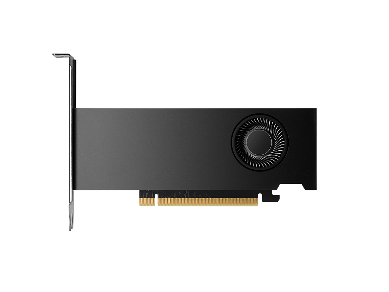 بطاقة رسوميات ورك ستيشن HP Nvidia RTX 2000 Ada، ذاكرة GDDR6 بسعة 16 جيجابايت 128 بت، 4 مخارج Mini DP 1.4a، منفذ PCI Express 4.0، عرض نطاق ترددي للذاكرة 224 جيجابايت/ثانية، ضمان لمدة عام واحد | 8D6B8AA