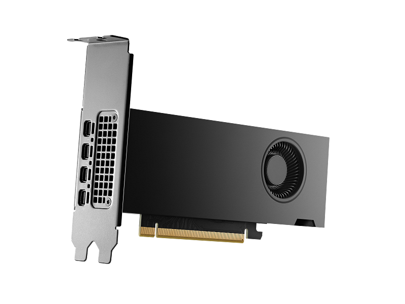 بطاقة رسوميات ورك ستيشن HP Nvidia RTX 2000 Ada، ذاكرة GDDR6 بسعة 16 جيجابايت 128 بت، 4 مخارج Mini DP 1.4a، منفذ PCI Express 4.0، عرض نطاق ترددي للذاكرة 224 جيجابايت/ثانية، ضمان لمدة عام واحد | 8D6B8AA