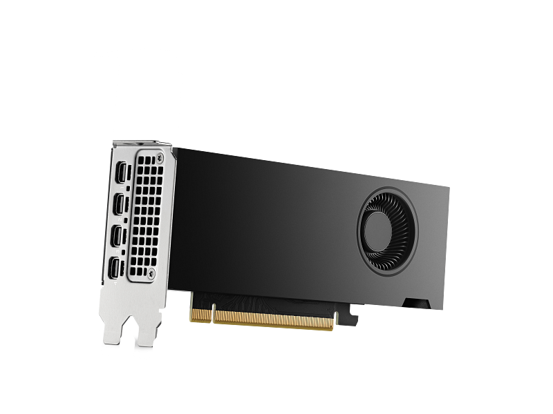 بطاقة رسوميات ورك ستيشن HP Nvidia RTX 2000 Ada، ذاكرة GDDR6 بسعة 16 جيجابايت 128 بت، 4 مخارج Mini DP 1.4a، منفذ PCI Express 4.0، عرض نطاق ترددي للذاكرة 224 جيجابايت/ثانية، ضمان لمدة عام واحد | 8D6B8AA