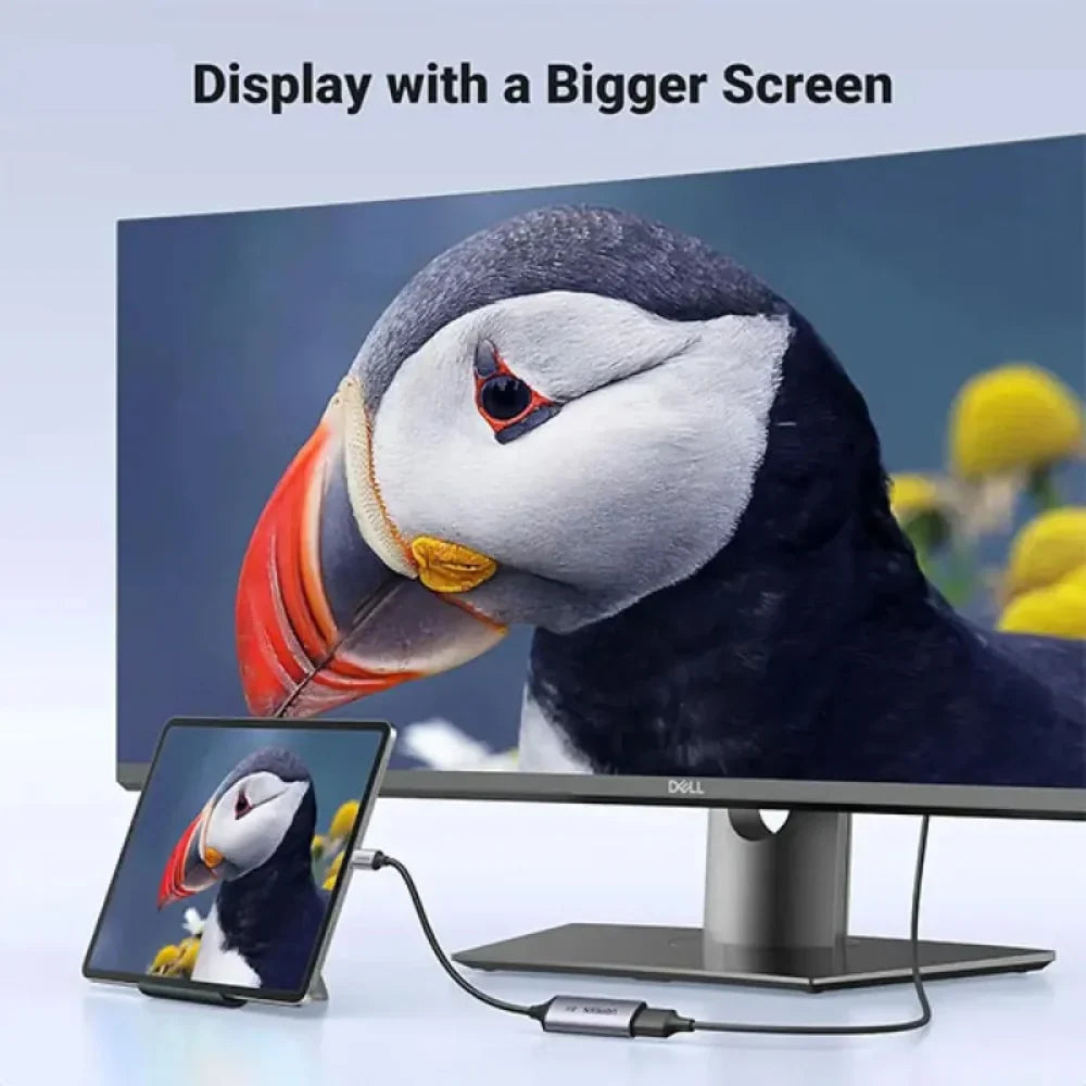 Ugreen-10CM-USB-C-To-DisplayPort-Cable-15575