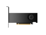 بطاقة رسوميات ورك ستيشن HP Nvidia RTX 2000 Ada، ذاكرة GDDR6 بسعة 16 جيجابايت 128 بت، 4 مخارج Mini DP 1.4a، منفذ PCI Express 4.0، عرض نطاق ترددي للذاكرة 224 جيجابايت/ثانية، ضمان لمدة عام واحد | 8D6B8AA