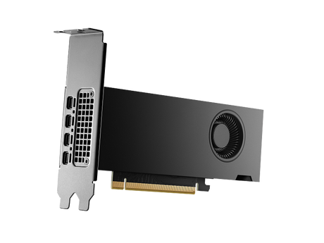 بطاقة رسوميات ورك ستيشن HP Nvidia RTX 2000 Ada، ذاكرة GDDR6 بسعة 16 جيجابايت 128 بت، 4 مخارج Mini DP 1.4a، منفذ PCI Express 4.0، عرض نطاق ترددي للذاكرة 224 جيجابايت/ثانية، ضمان لمدة عام واحد | 8D6B8AA