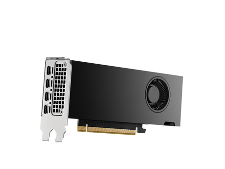 بطاقة رسوميات ورك ستيشن HP Nvidia RTX 2000 Ada، ذاكرة GDDR6 بسعة 16 جيجابايت 128 بت، 4 مخارج Mini DP 1.4a، منفذ PCI Express 4.0، عرض نطاق ترددي للذاكرة 224 جيجابايت/ثانية، ضمان لمدة عام واحد | 8D6B8AA