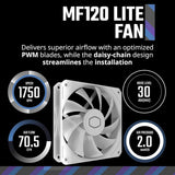 Cooler Master MasterLiquid Core II Series ARGB CPU Cooler, 240mm Radiator, Supports Intel, AMD Sockets, Rifle Bearing Fans, White, 1 Year Warranty | MLW-D24M-A18PA-RW
